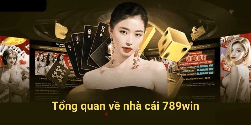 Tổng quan về nhà cái 789win
